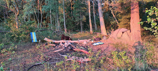 Övernattningsplats Skoggarn - Thumbnail