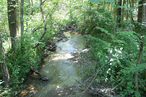 Daubenspeck Community Nature Park - Thumbnail