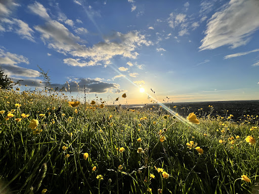 Blow's Downs - Visual