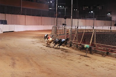 Photos of Canidrome