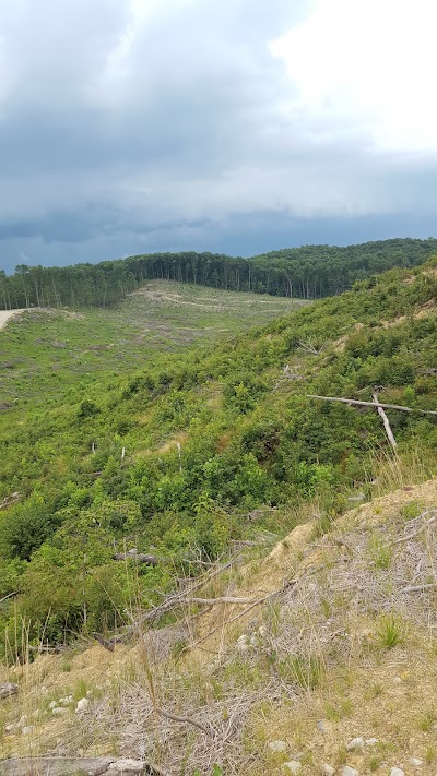 Photos of Shawnee State Forest Headquarters