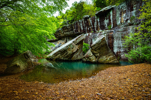 Bell Smith Springs Scenic Area - Thumbnail