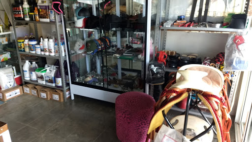 EQUITANIA Gallery - Mexico