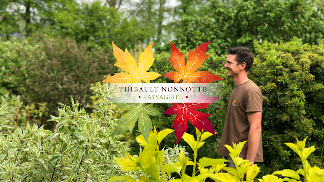 Thibault Nonnotte Paysagiste