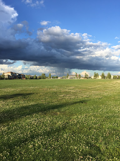 Kirkbridge Park - Thumbnail