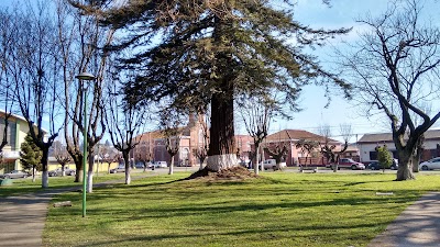 Photos of Jorge Sandoval Plaza Teillier