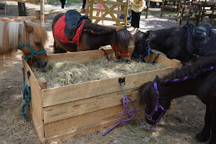 Photo n°20 de Wapifun Park à Mios (Parc de loisirs)