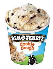Ben & Jerrys Chocolate Fudge Brownie 100ml