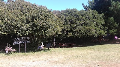 Photos of Don Mario camping