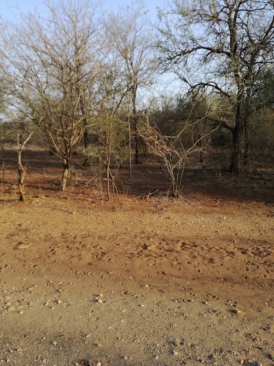 Photos of Beauty of Nature Self-Catering Lodge