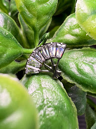 Photo n°7 de Kim-Thu Piercing à Saint-Étienne (Salon de piercing)