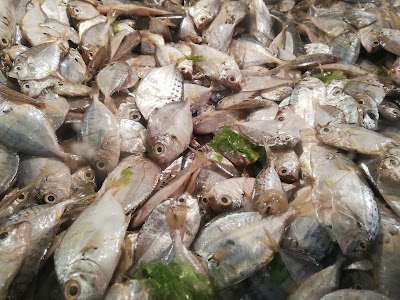 Photos of Sirilak Sea Food Store