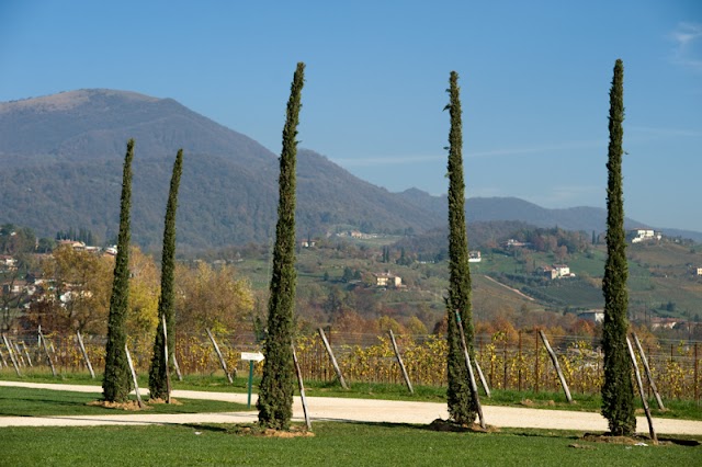 Serradesca Tenuta di Maria Acquaroli