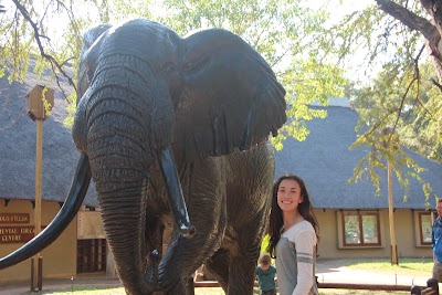 Photos of Elephant Hall (Letaba Camp)