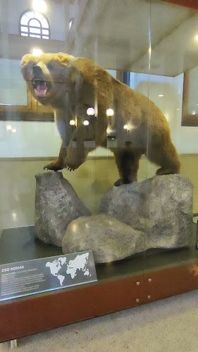 Opiniones de Túnel Biogeográfico de Chile en Quinta Normal - Museo