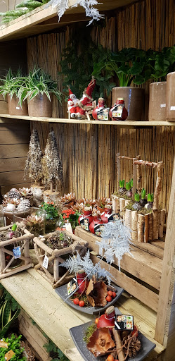 Stationshop / Speelman Bloemen Sneek - Thumbnail