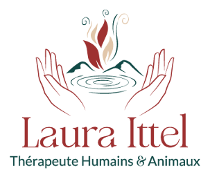 Photo n°2 de Laura Ittel - Ostéopathie Animale & Énergétique à Chamalières-sur-Loire (Praticien en médecine holistique)