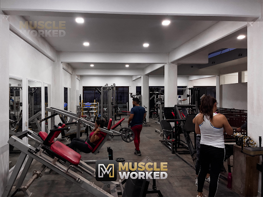 Muscle Worked - Visual