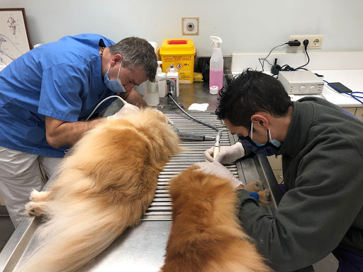 Pratdesaba Veterinaris Calldetenes