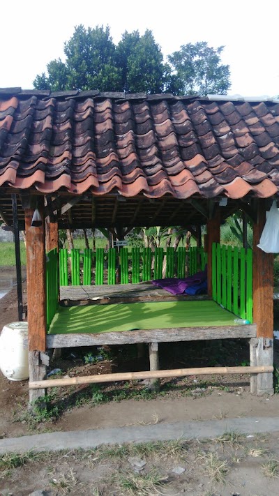 Photos of Driver Tepi Sawah Homebase