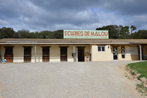 Photo n°7 de Les Ecuries de Malou à Montarnaud (Centre équestre)