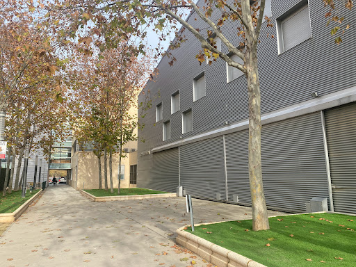Cuarte forum - Visual