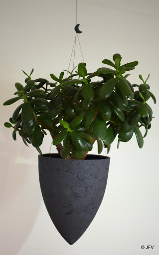 Photo de Poterie la salamandre