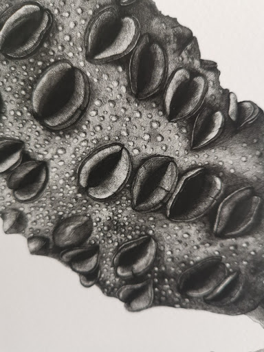 Cut and Crop Print Shop - Thumbnail