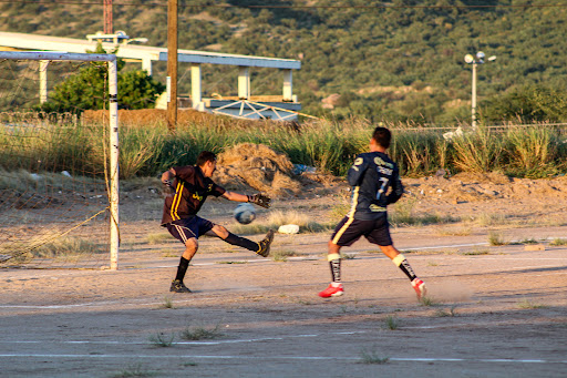 PINOS STADIUM - Visual