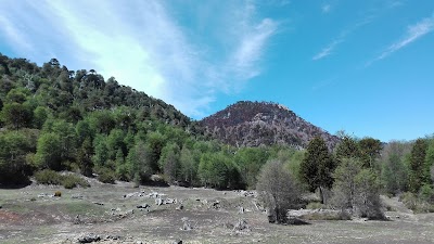 Photos of China Muerta National Reserve