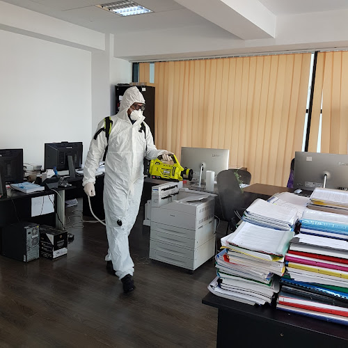 NO MORE BUGS - Craiova