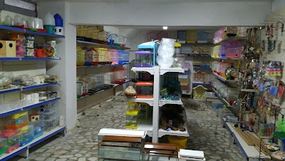 Pet Store İstanbul - Pet Shop