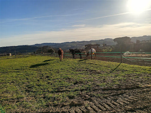 Flower Ranch - Thumbnail