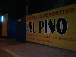 villa deportiva el pino 6