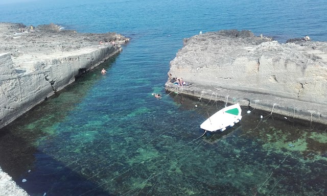 Leuca