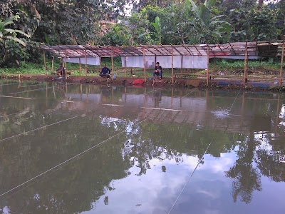 Photos of Pemancingan Ikan Mas Bob
