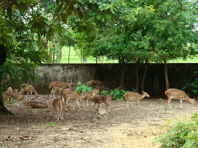 Photos of Ramsagar Deer Zoo