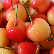 PEPINIERES MESNILOISES à Mauges-sur-Loire