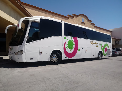 Concha's Tours - Visual