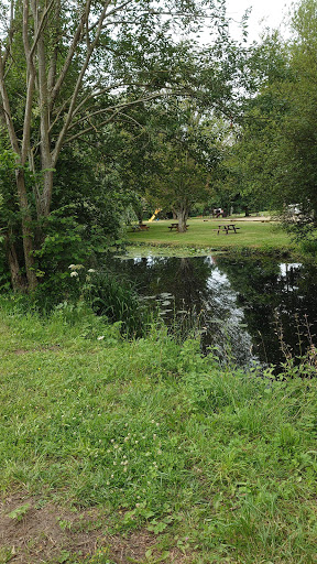 Photo de Camping municipal de Dollon à Dollon (72390)