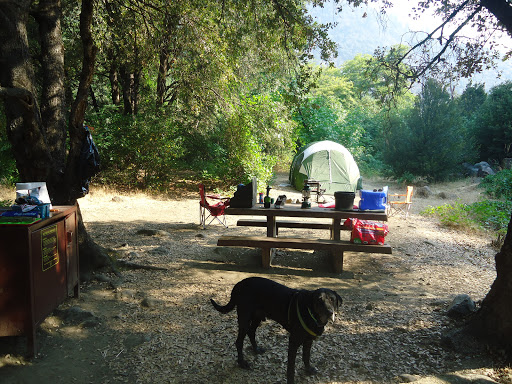Queen Lily Campground - Thumbnail
