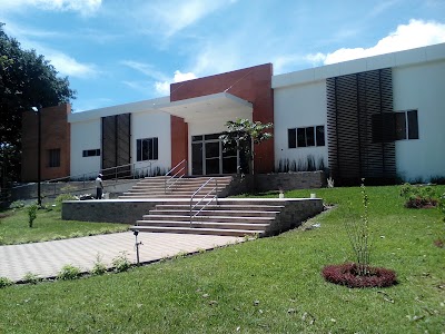 university