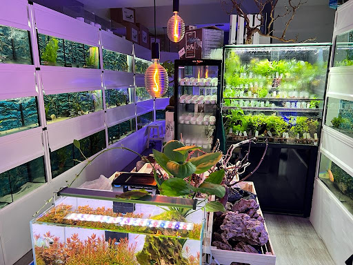 Aquasalvaje - Thumbnail
