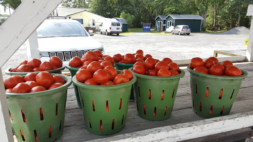 Ocean View Produce - Thumbnail