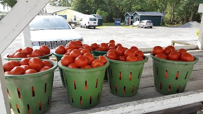 Ocean View Produce