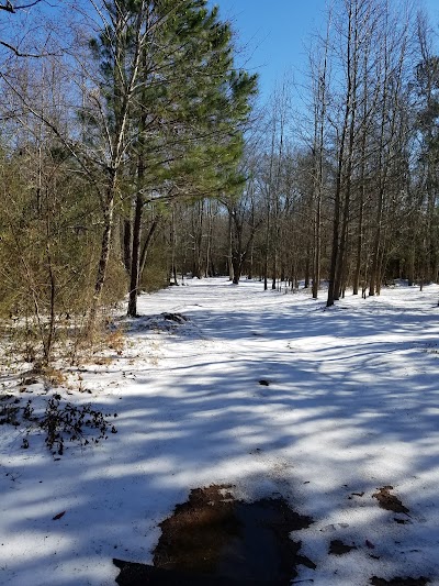Photos of Central Park, Cumming GA