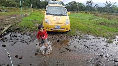 Photos of Huevos Felices de Gallinas Camperas S.A.