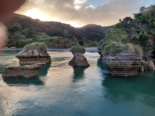 Raglan Boat Charters - Whaingaroa Wahinemoe - Thumbnail