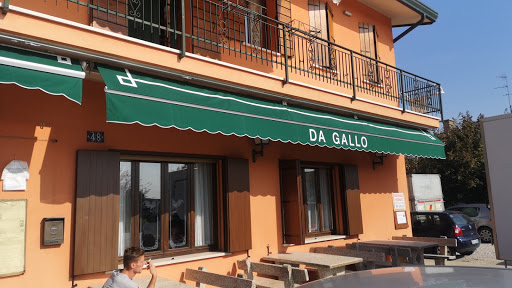 Da Gallo - Visual