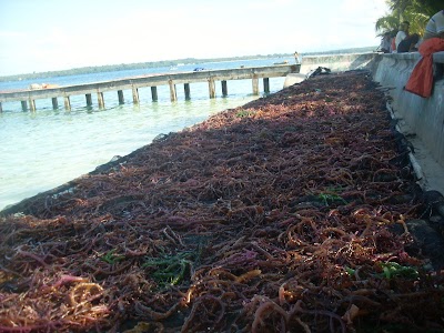 Photos of Duroa Island